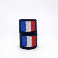 Bande de boxe - FRANCE - Strapline
